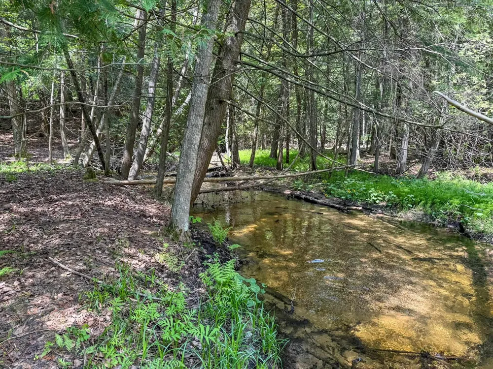 2164 Belanger Creek Drive Suttons Bay Township, MI 49682
