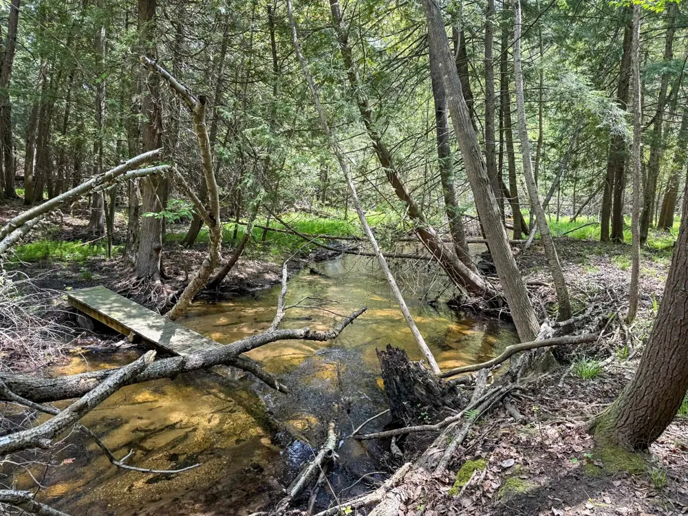 2164 Belanger Creek Drive Suttons Bay Township, MI 49682