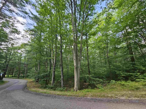 Woodwind Drive