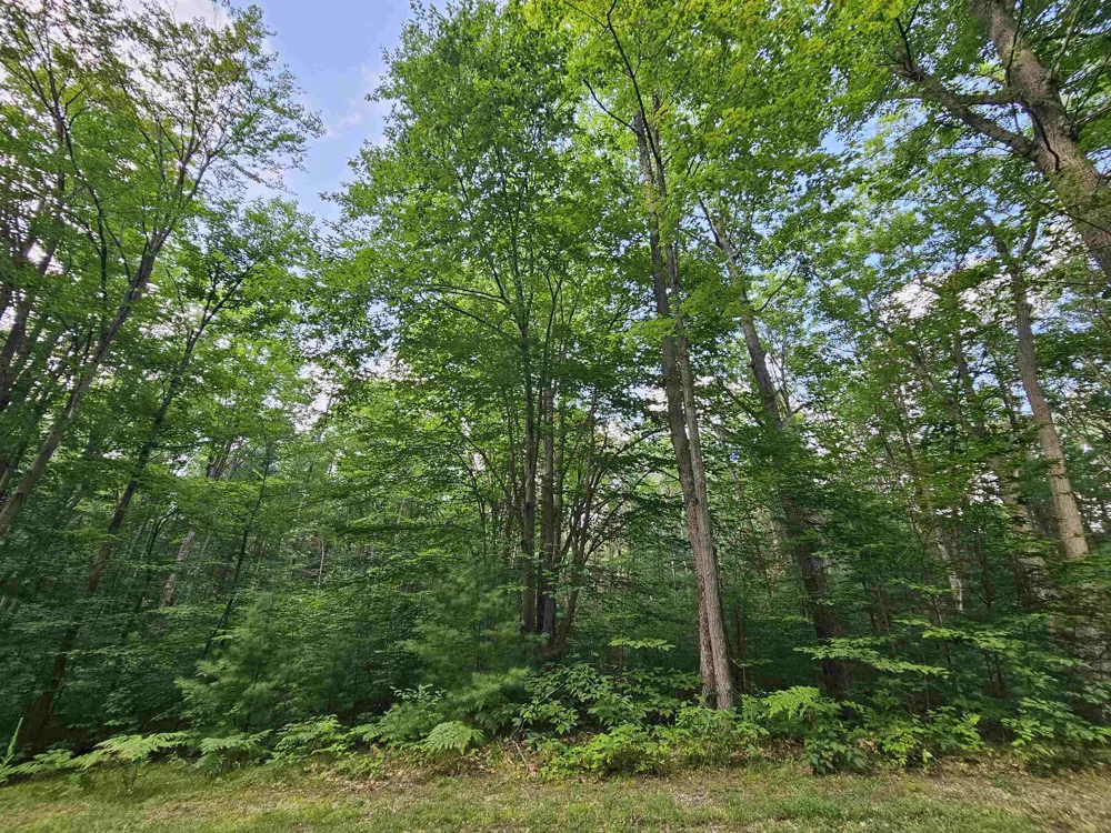 Woodwind Drive Haring Charter Township, MI 49601