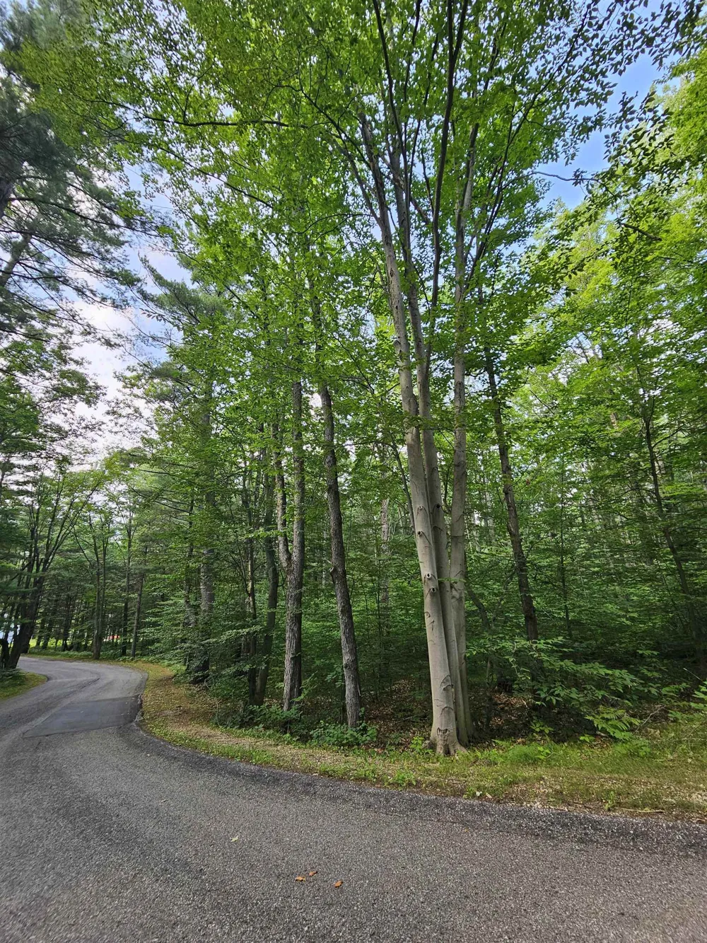Woodwind Drive Haring Charter Township, MI 49601