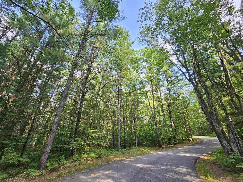 Woodwind Drive Haring Charter Township, MI 49601
