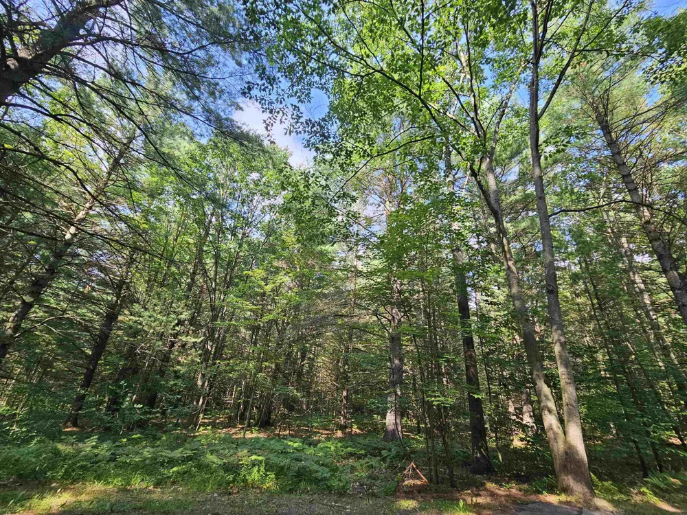 Woodwind Drive Haring Charter Township, MI 49601