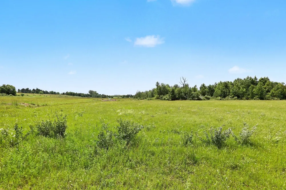 Coleman Road Torch Lake Township, MI 49648
