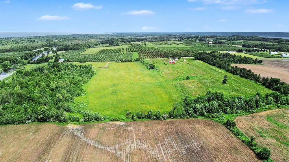 Coleman Road Torch Lake Township, MI 49648