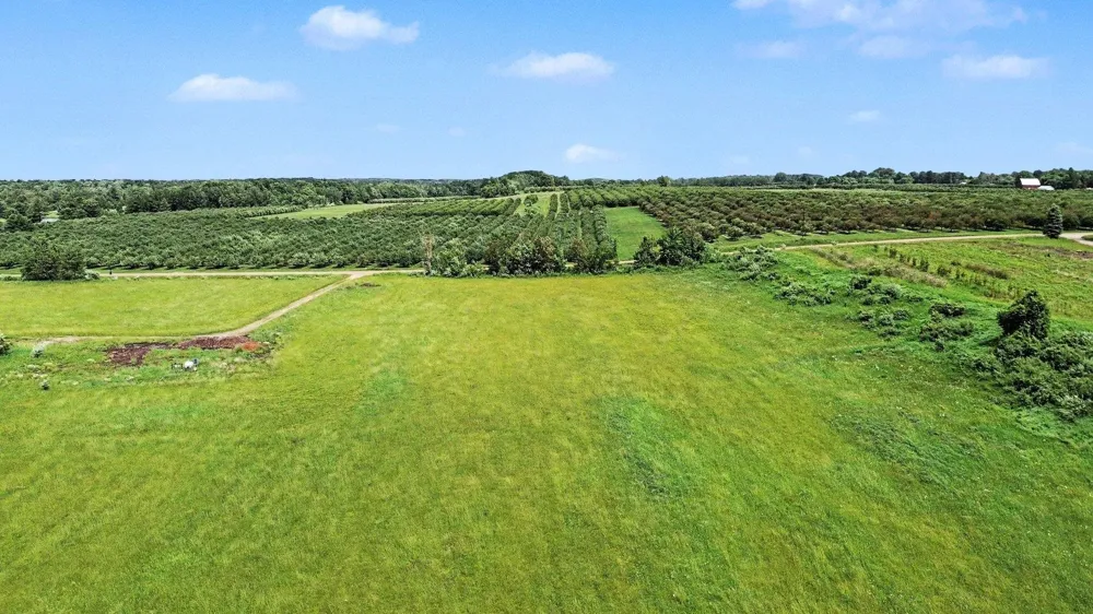 Coleman Road Torch Lake Township, MI 49648