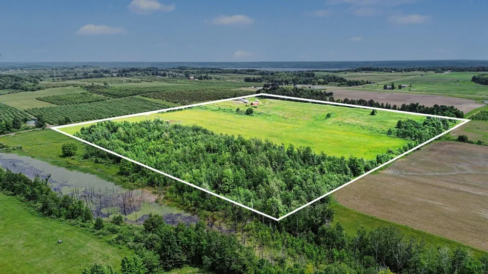 Coleman Road Torch Lake Township, MI 49648