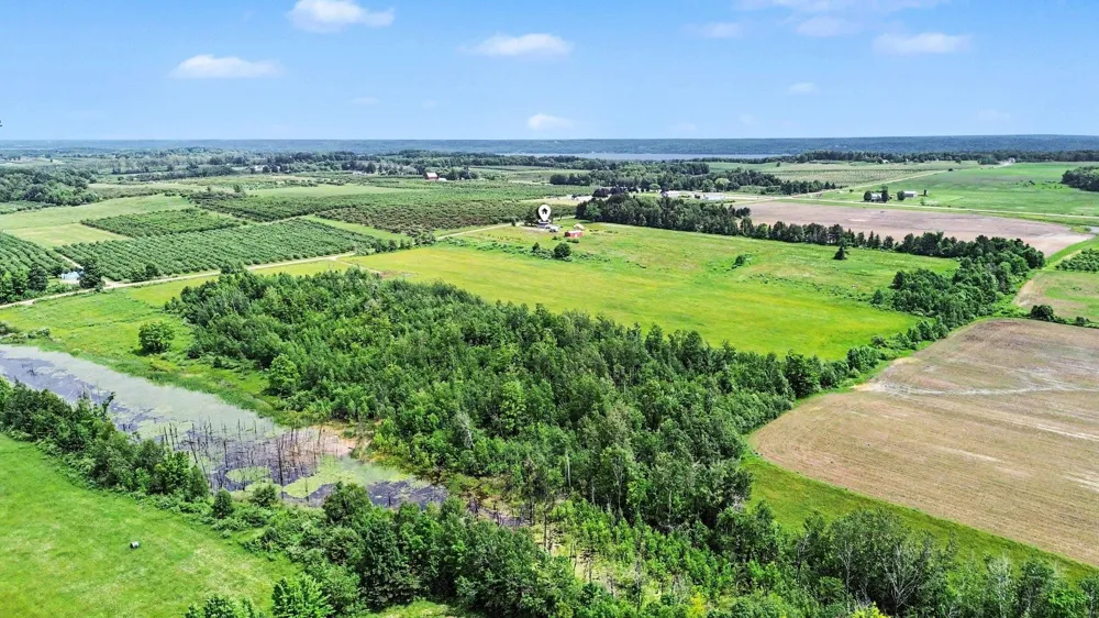 Coleman Road Torch Lake Township, MI 49648