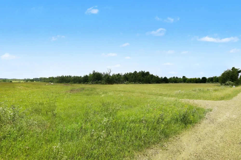 Coleman Road Torch Lake Township, MI 49648