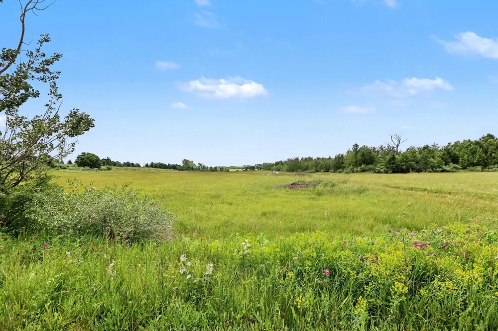Coleman Road Torch Lake Township, MI 49648