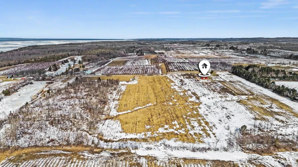Coleman Road Torch Lake Township, MI 49648