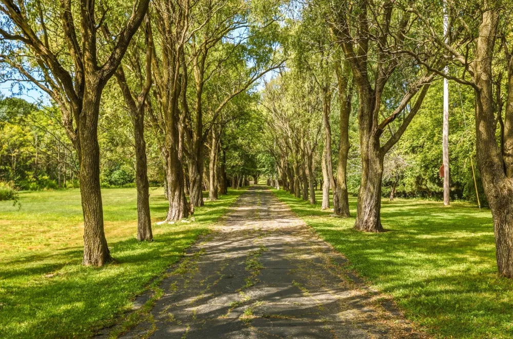 10722 S Gera Road Birch Run Township, MI 48415