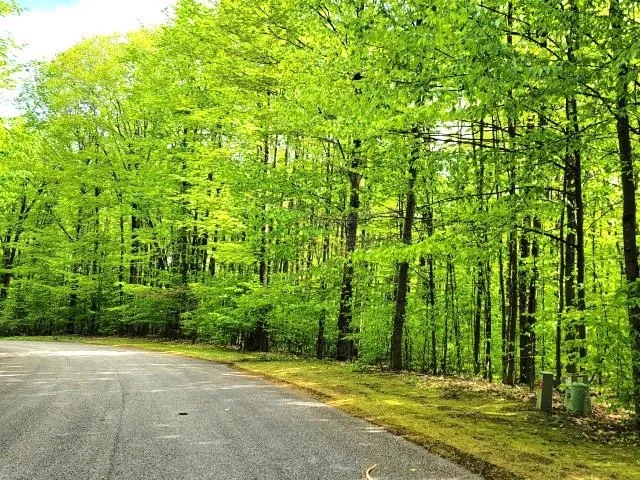 Laurel Valley Kearney Township, MI 49615
