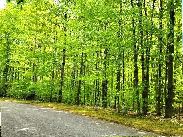 Laurel Valley Kearney Township, MI 49615