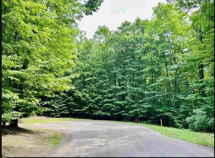 Laurel Valley Kearney Township, MI 49615