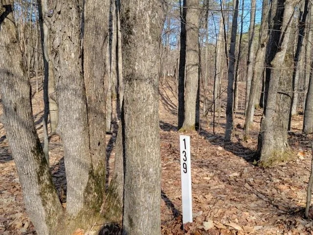 Laurel Valley Kearney Township, MI 49615