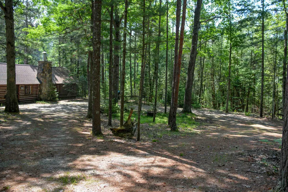 6483 W Plum Valley Road NW Clearwater Township, MI 49676