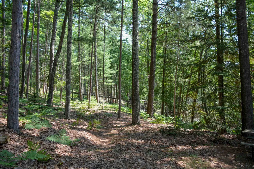 6483 W Plum Valley Road NW Clearwater Township, MI 49676