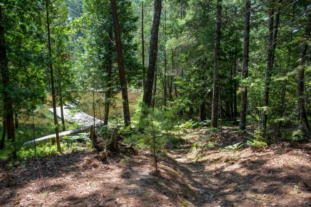 6483 W Plum Valley Road NW Clearwater Township, MI 49676