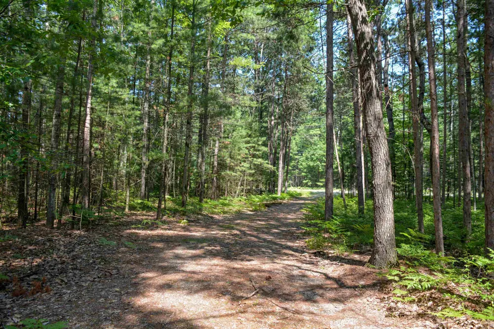 6483 W Plum Valley Road NW Clearwater Township, MI 49676