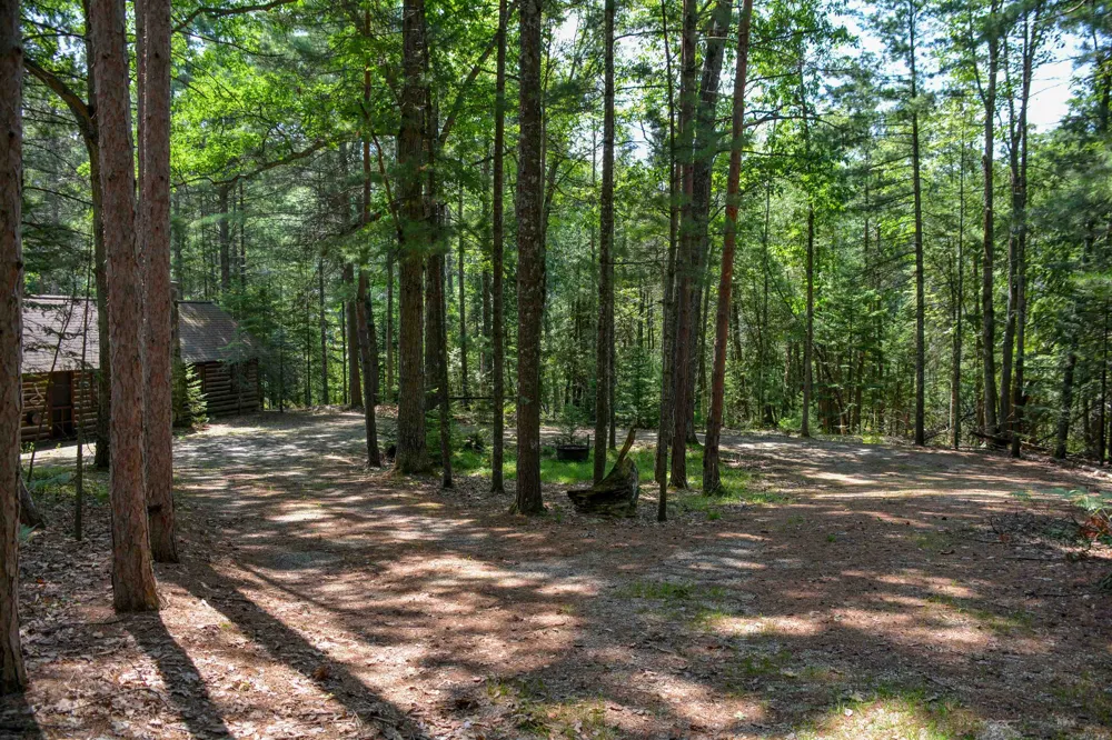 6483 W Plum Valley Road NW Clearwater Township, MI 49676