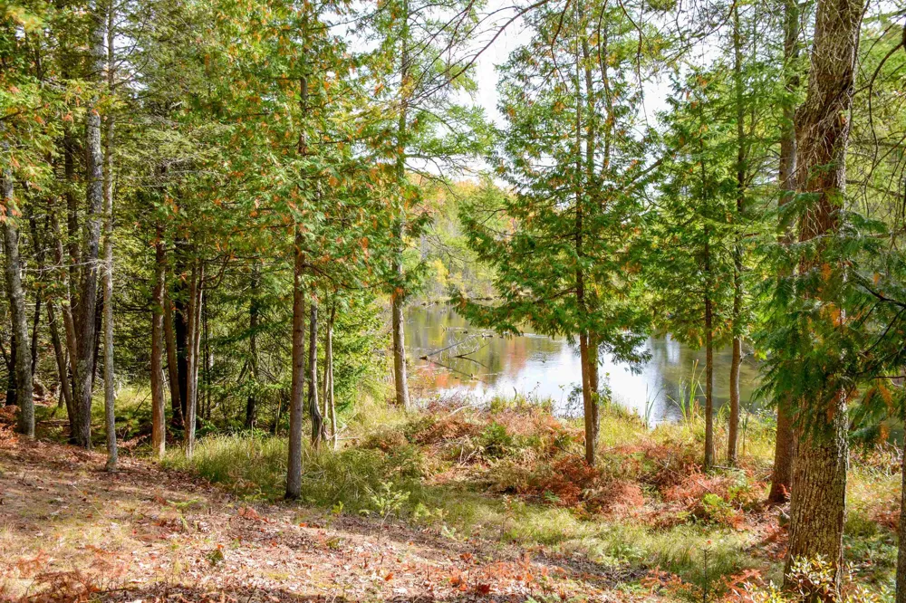 W Plum Valley Road NW Clearwater Township, MI 49676