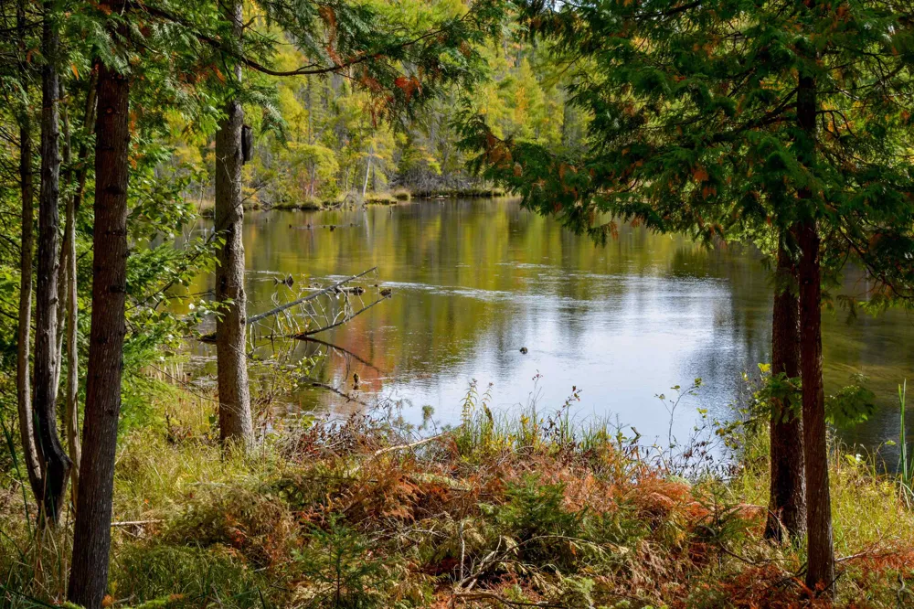 W Plum Valley Road NW Clearwater Township, MI 49676