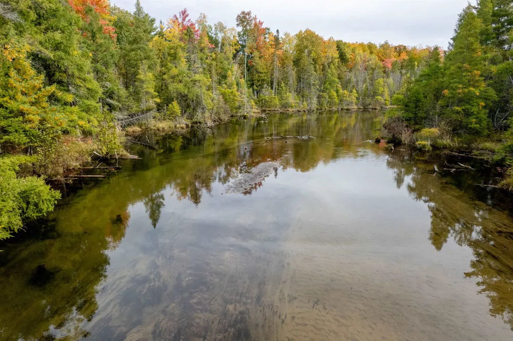 W Plum Valley Road NW Clearwater Township, MI 49676
