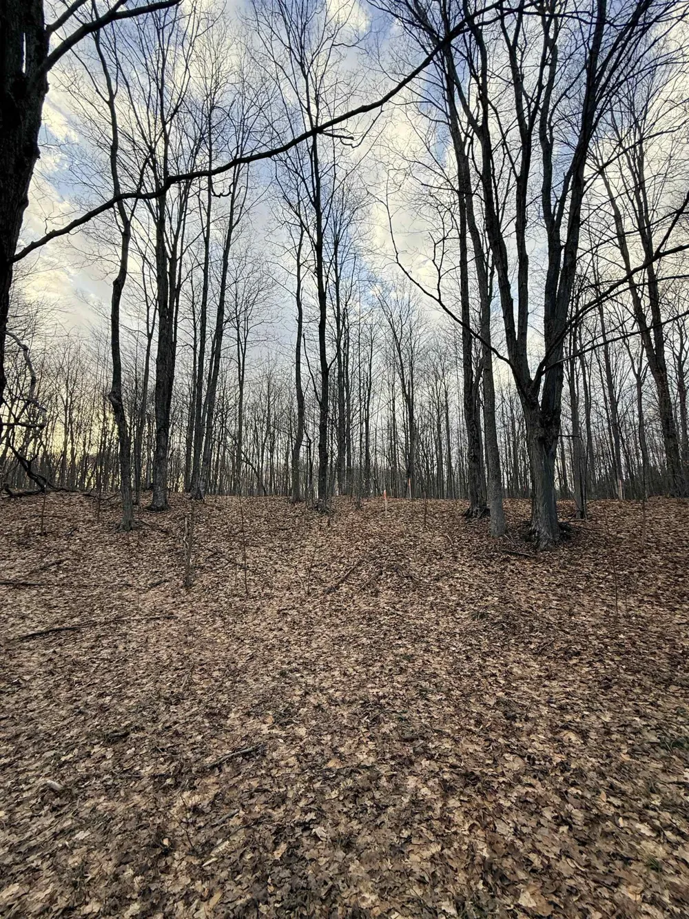 1208 S Ridge Court Blair Township, MI 49696