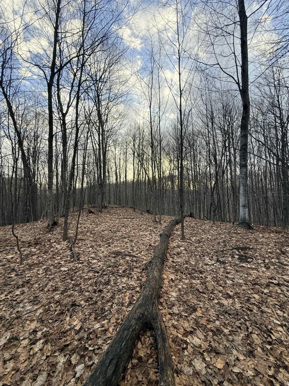 1208 S Ridge Court Blair Township, MI 49696