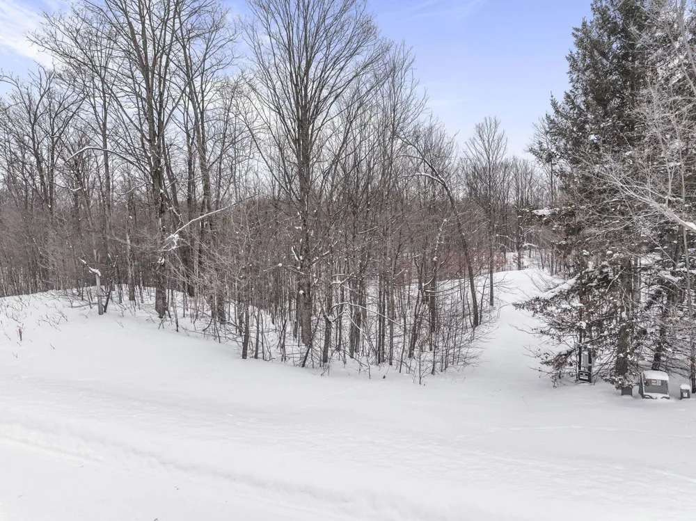 1208 S Ridge Court Blair Township, MI 49696