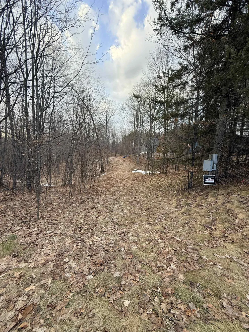 1208 S Ridge Court Blair Township, MI 49696
