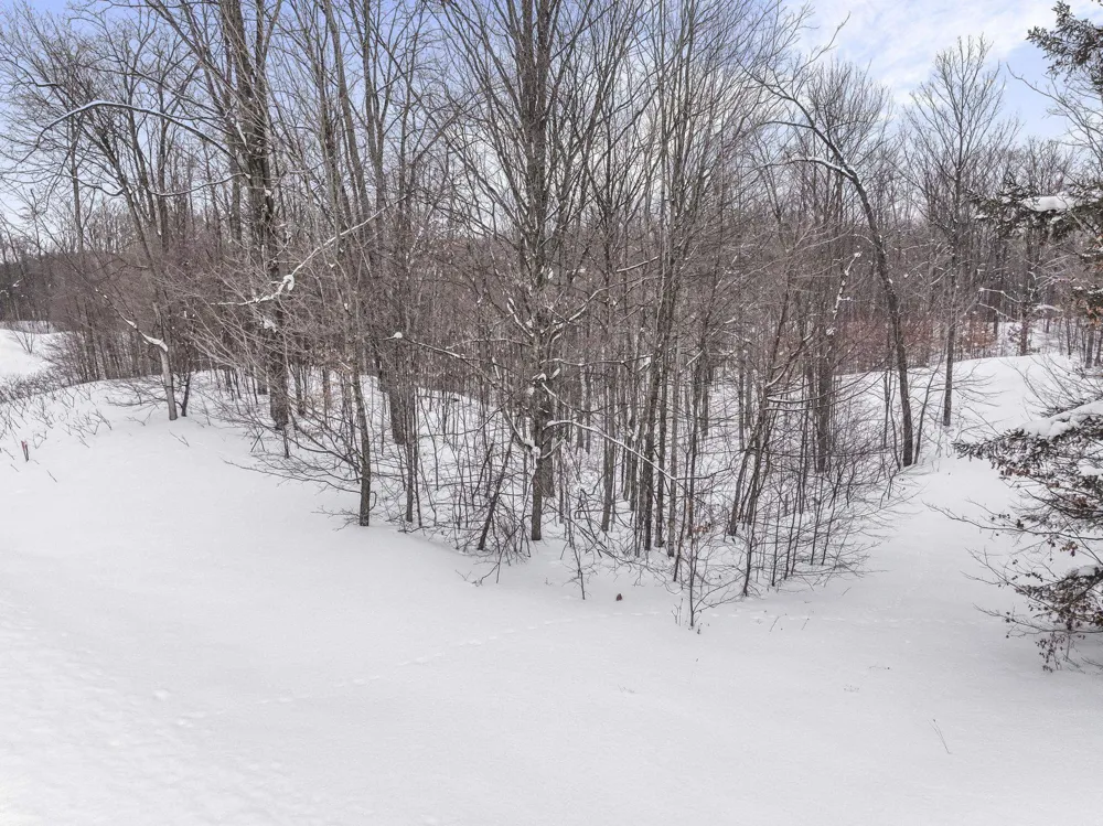 1208 S Ridge Court Blair Township, MI 49696