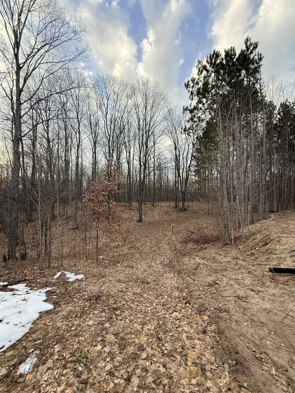 1208 S Ridge Court Blair Township, MI 49696
