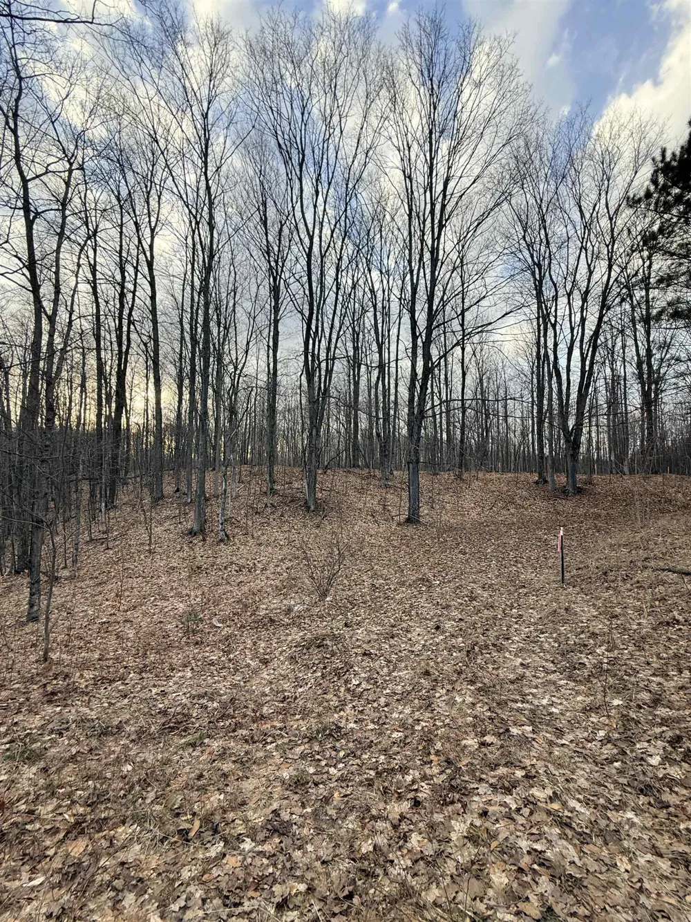1208 S Ridge Court Blair Township, MI 49696