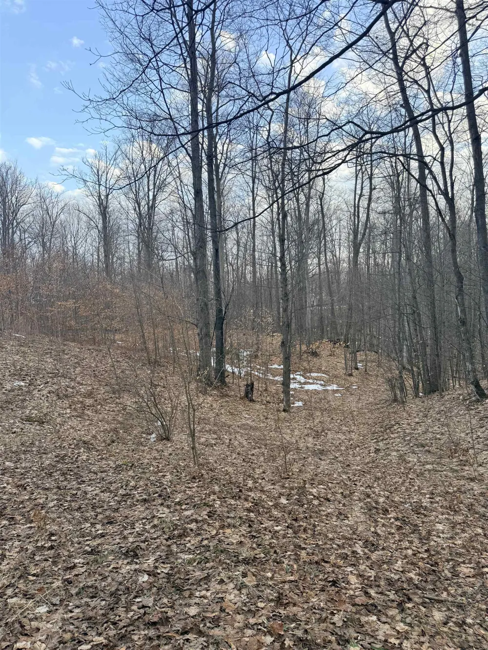 1208 S Ridge Court Blair Township, MI 49696