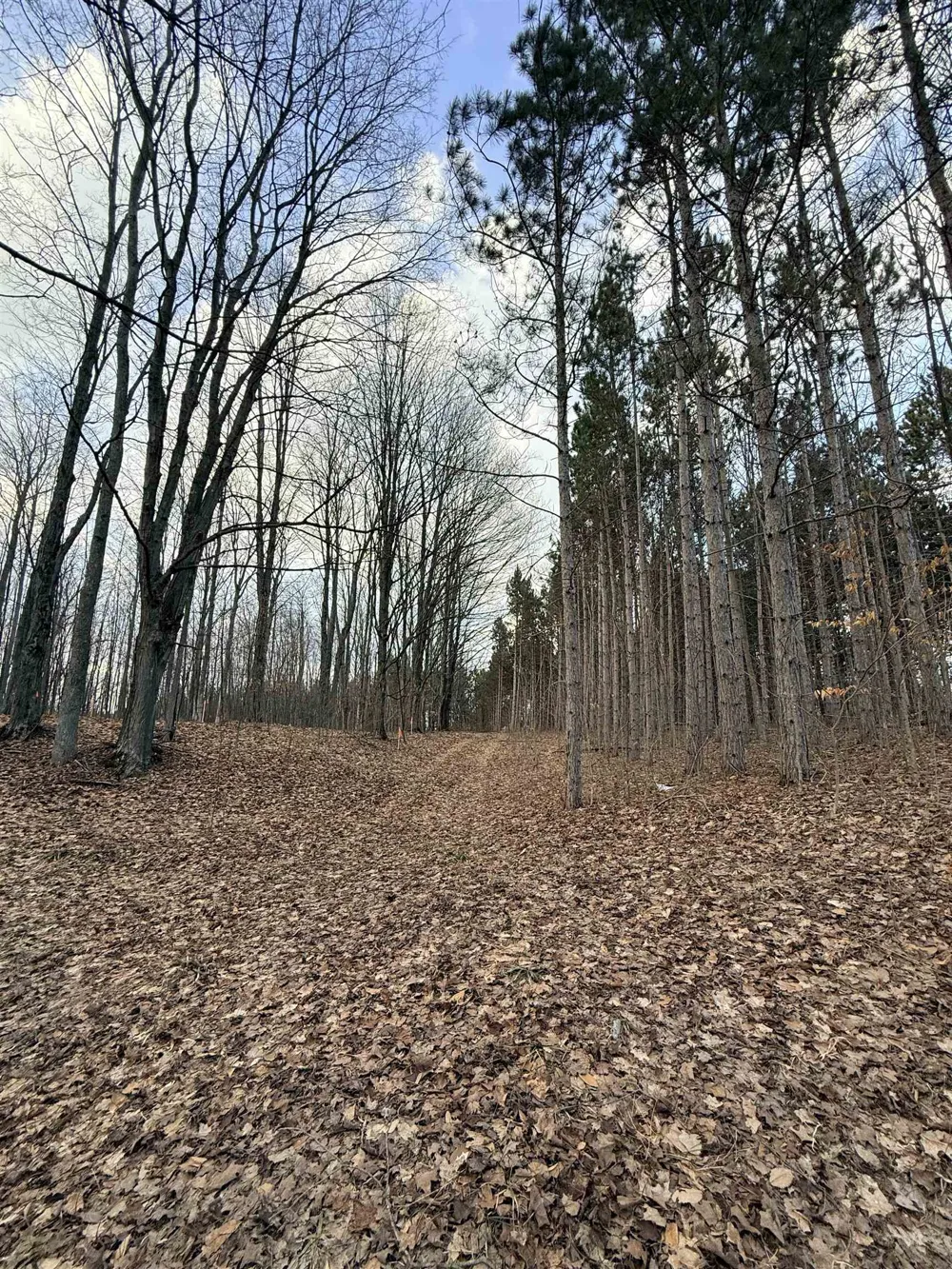1208 S Ridge Court Blair Township, MI 49696
