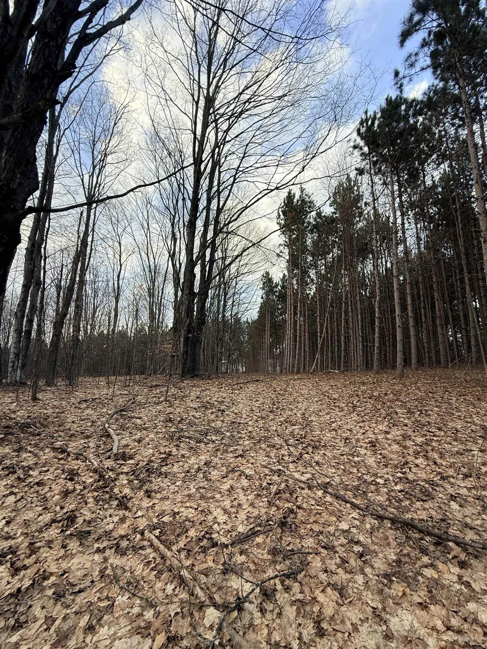 1208 S Ridge Court Blair Township, MI 49696