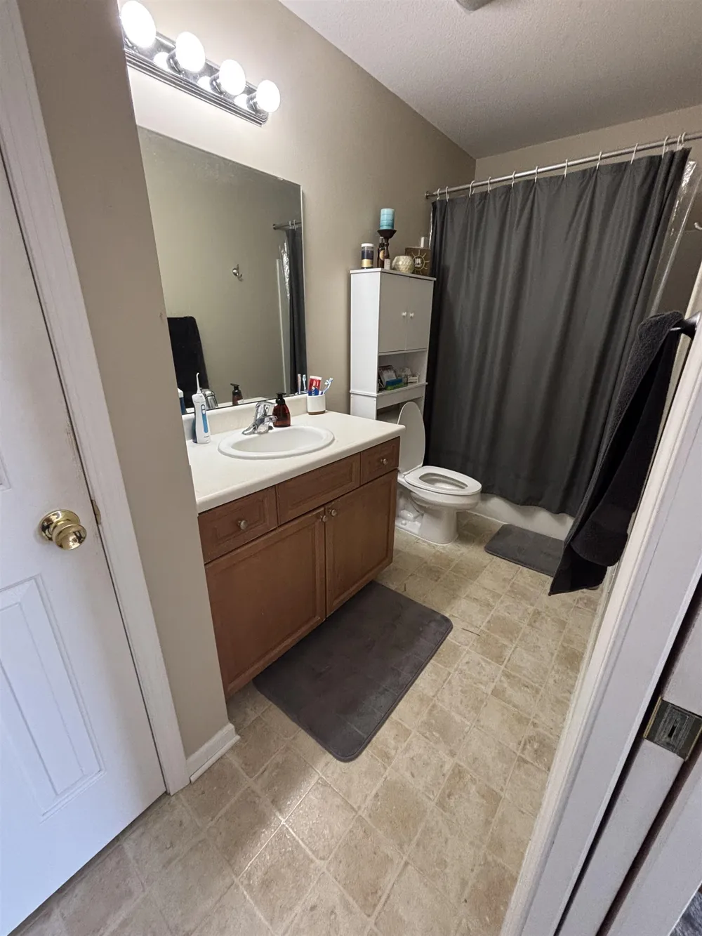 1639 Chippewa Way Mt Pleasant City, MI 48858
