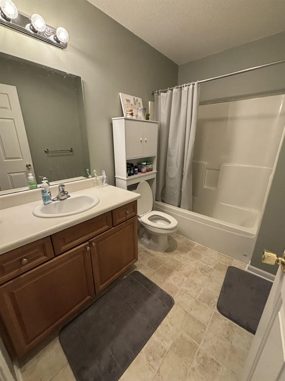 1639 Chippewa Way Mt Pleasant City, MI 48858