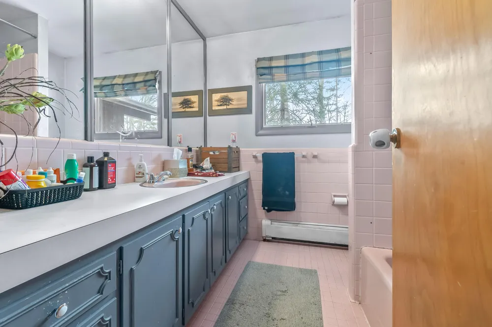3671 Wildwood Court Cambria Township, MI 49242