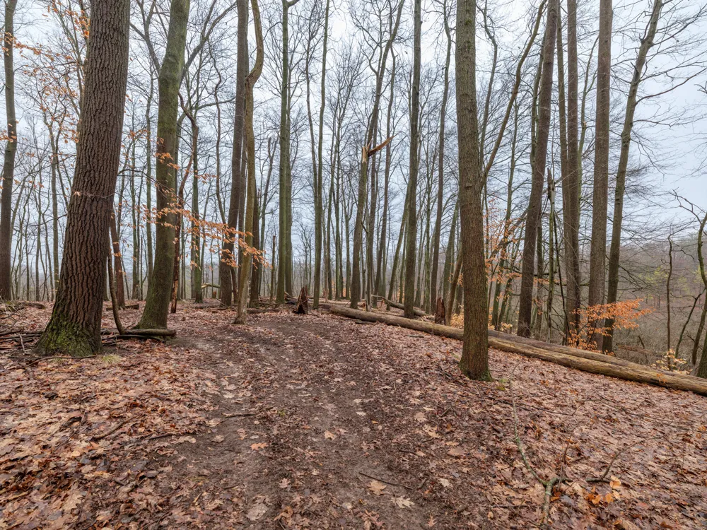 22431 Paulson Road Pine Grove Township, MI 49055