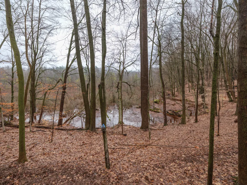 22431 Paulson Road Pine Grove Township, MI 49055