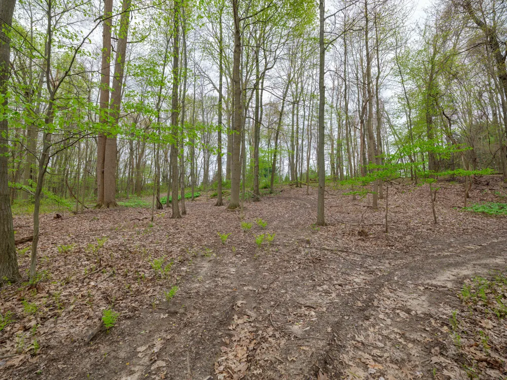22431 Paulson Road Pine Grove Township, MI 49055