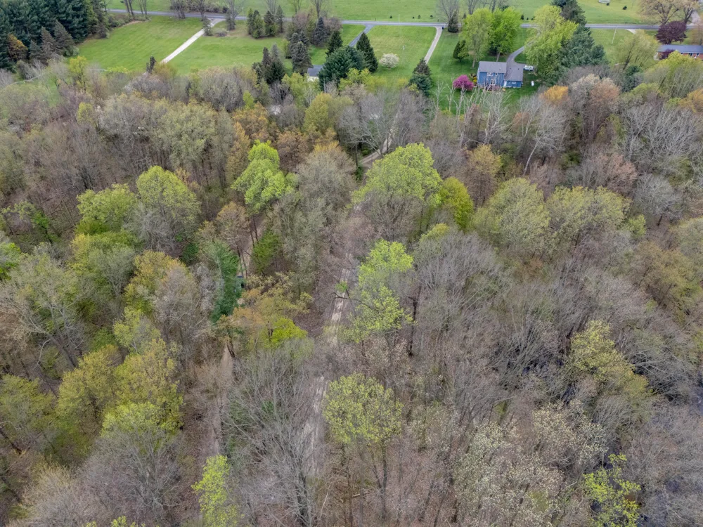 22431 Paulson Road Pine Grove Township, MI 49055