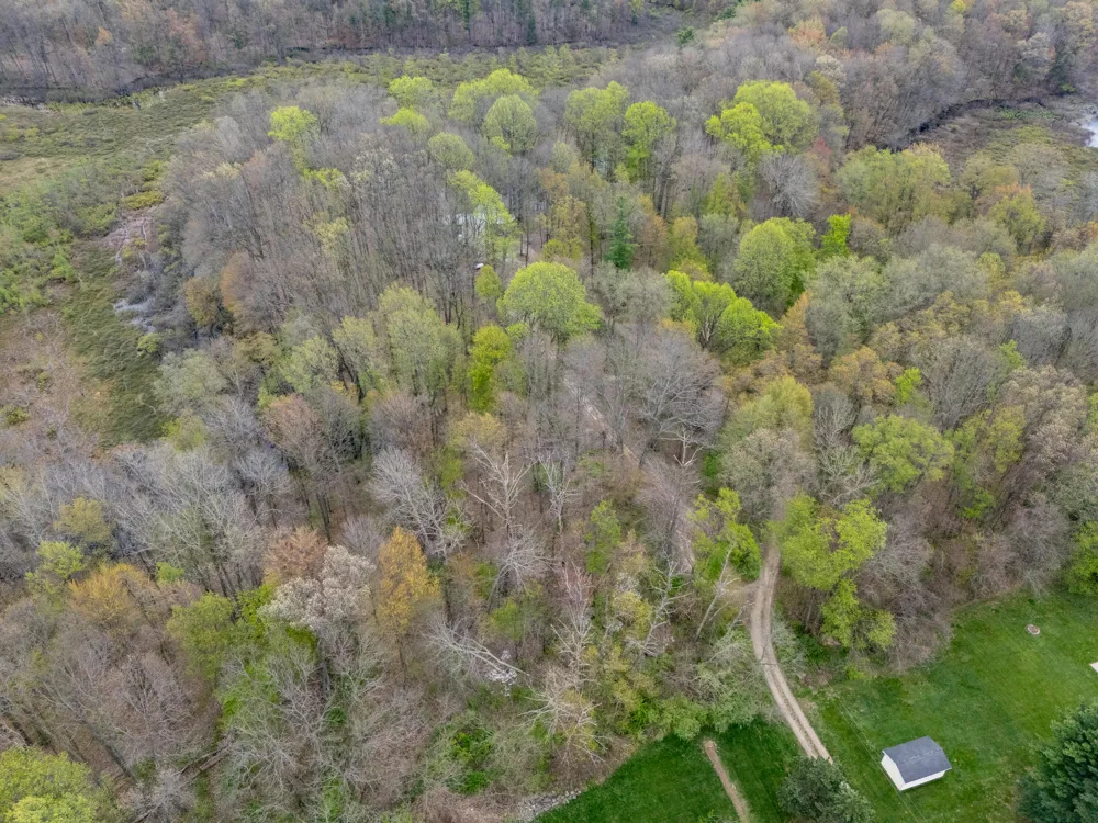 22431 Paulson Road Pine Grove Township, MI 49055