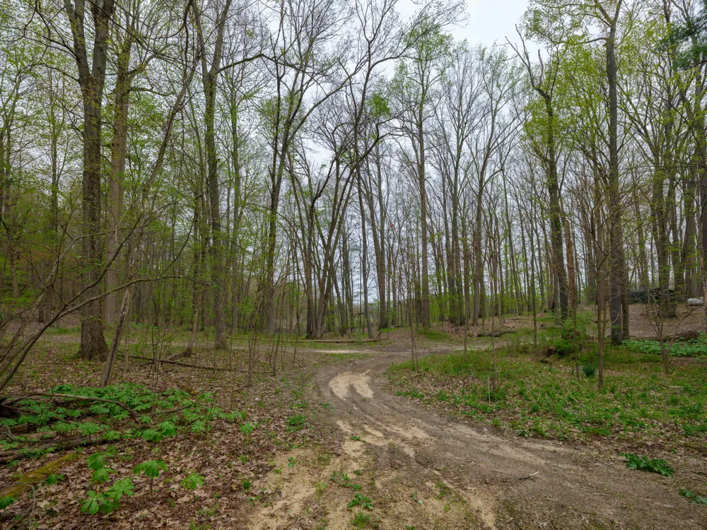 22431 Paulson Road Pine Grove Township, MI 49055