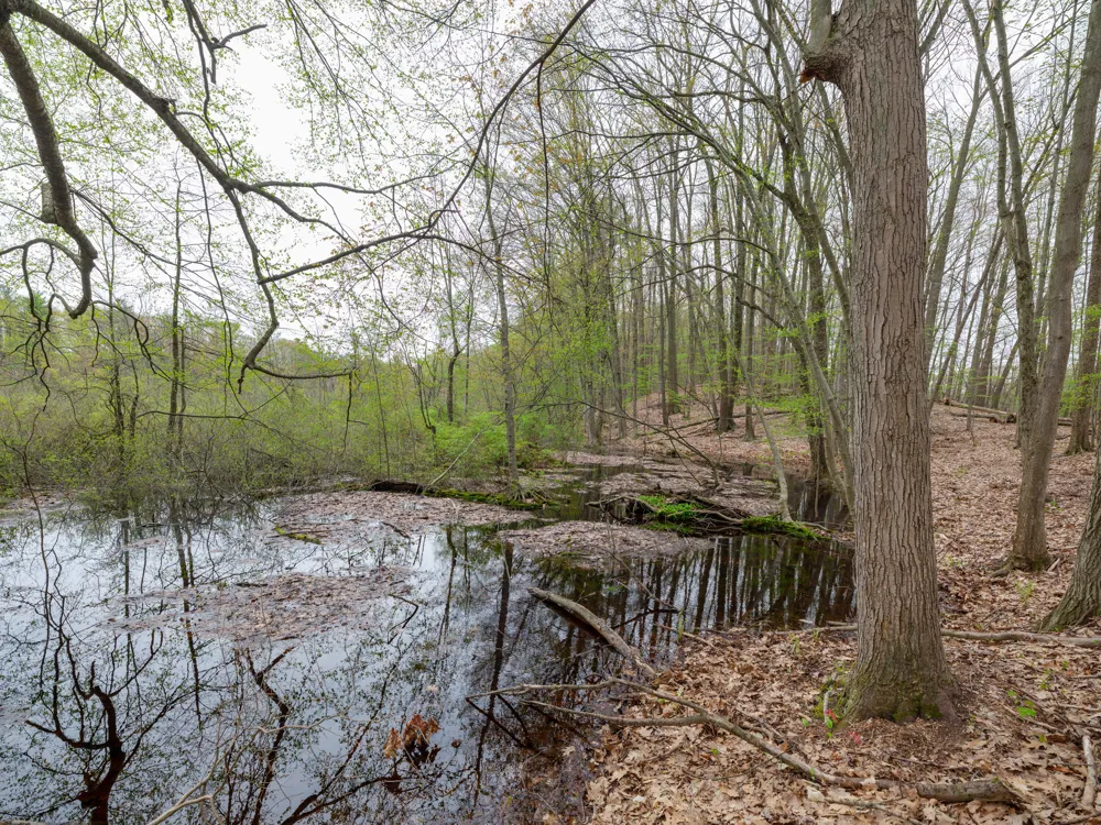 22431 Paulson Road Pine Grove Township, MI 49055