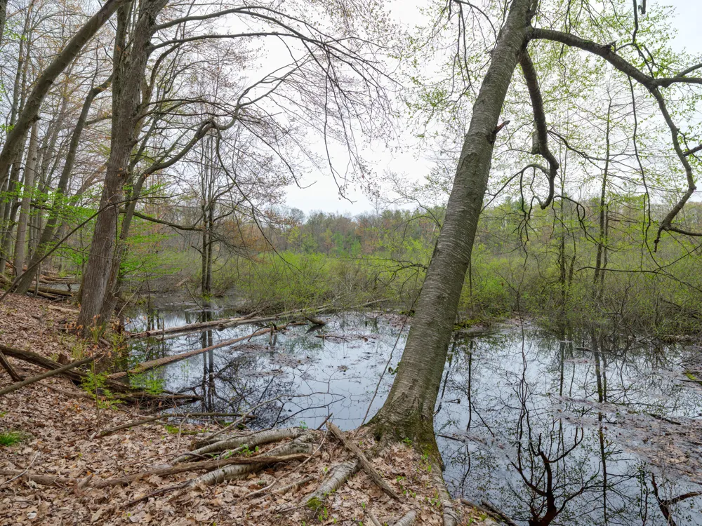 22431 Paulson Road Pine Grove Township, MI 49055