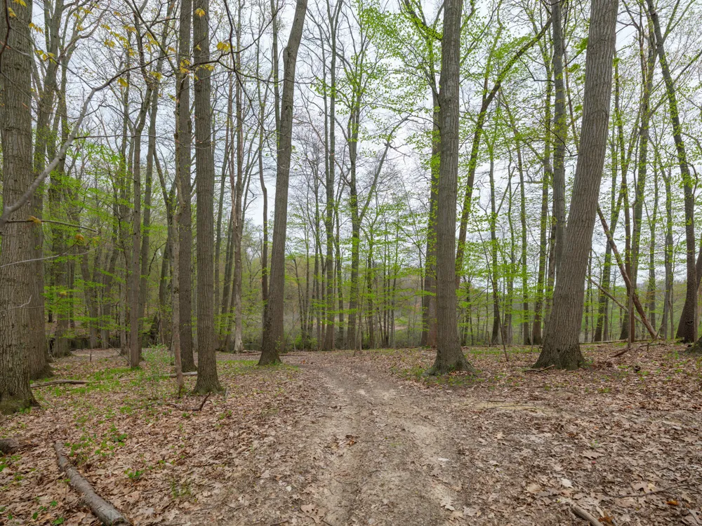 22431 Paulson Road Pine Grove Township, MI 49055